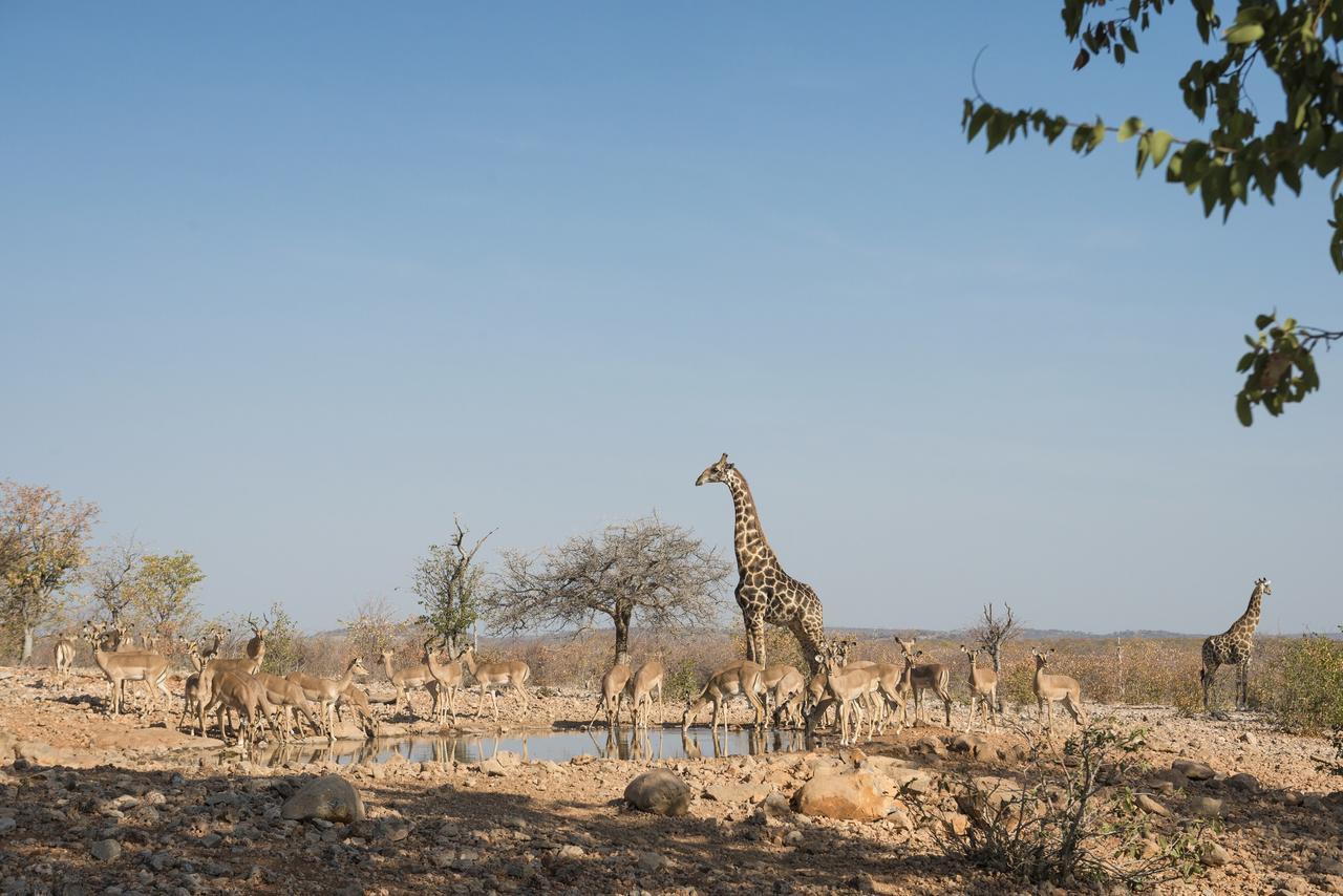 Ongava Lodge Окауквейо Екстер'єр фото